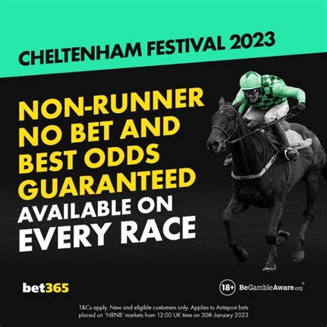 non runner no bet promotion